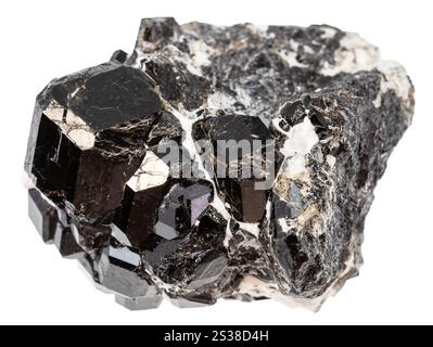 primo piano del campione di pietra naturale proveniente dalla raccolta geologica - matrice r di granati neri melanite andradite isolati su sfondo bianco da Foto Stock