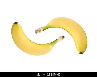 Due banane isolato su bianco Foto Stock