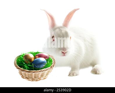 Coniglietto pasquale bianco accanto a un cestino pieno di uova colorate su sfondo bianco Foto Stock