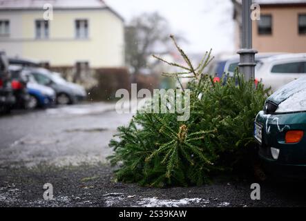 Berlino, Germania. 9 gennaio 2025. Alberi di Natale che giacciono accanto a un lampione a Tempelhof. In questi giorni, il Berliner Stadtreinigung (BSR) sta ancora una volta raccogliendo alberi di Natale in disuso dal ciglio della strada. Ci sono due date di raccolta per distretto tra l'8 e il 21 gennaio 2025. Crediti: Bernd von Jutrczenka/dpa/Alamy Live News Foto Stock