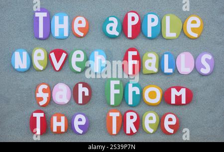 La mela non cade mai lontano dall'albero, di solito vengono ereditate importanti caratteristiche familiari, testo creativo composto da lettere colorate Foto Stock