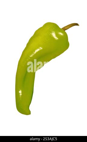 Pepe isolato su sfondo bianco. Pepe Foto Stock