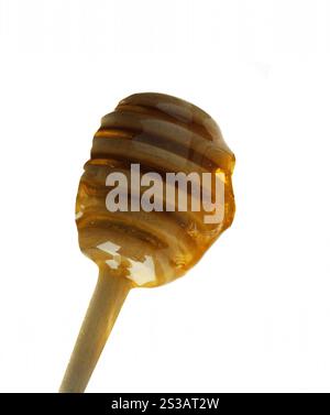 Miele che gocciola da una immersione di legno isolata. Miele che gocciola da un cucchiaio di legno Foto Stock