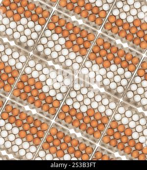 ventiquattro uova bianche in scatola. uova bianche e marroni nella scatola Foto Stock