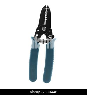 Spelafili, completamente isolato su sfondo bianco. Spelafili, completamente isolato Foto Stock