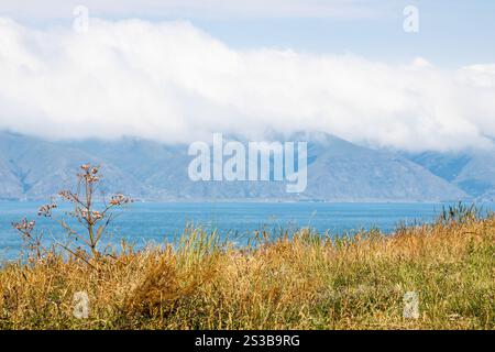 Erba bruciata al sole sulla cima della penisola di Sevan vicino a Sevanavank e vista delle nuvole sulla costa montana del lago Sevan, Armenia, il giorno estivo sullo sfondo Foto Stock