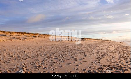 Weststrand Hörnum auf der Insel Sylt, der kilometerlange Dünenstrand ist ein Markenzeichen der nördlichsten Insel Deutschlands 04.01.25 *** Weststrand Hörnum sull'isola di Sylt, la spiaggia di dune lunga chilometri è un marchio registrato dell'isola più settentrionale della Germania 04 01 25 Foto Stock