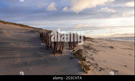 Weststrand Hörnum auf der Insel Sylt, der kilometerlange Dünenstrand ist ein Markenzeichen der nördlichsten Insel Deutschlands 04.01.25 *** Weststrand Hörnum sull'isola di Sylt, la spiaggia di dune lunga chilometri è un marchio registrato dell'isola più settentrionale della Germania 04 01 25 Foto Stock