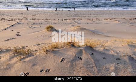 Weststrand Hörnum auf der Insel Sylt, der kilometerlange Dünenstrand ist ein Markenzeichen der nördlichsten Insel Deutschlands 04.01.25 *** Weststrand Hörnum sull'isola di Sylt, la spiaggia di dune lunga chilometri è un marchio registrato dell'isola più settentrionale della Germania 04 01 25 Foto Stock