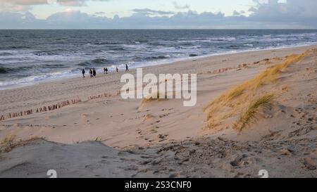 Weststrand Hörnum auf der Insel Sylt, der kilometerlange Dünenstrand ist ein Markenzeichen der nördlichsten Insel Deutschlands 04.01.25 Foto Stock