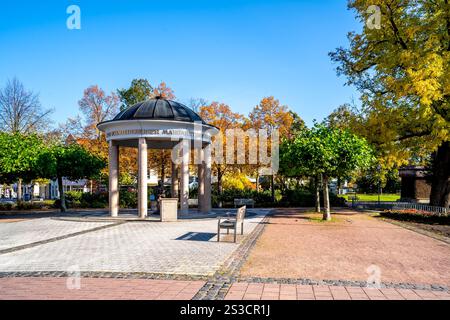 Città vecchia di Bad Schmiedeberg, Germania Foto Stock