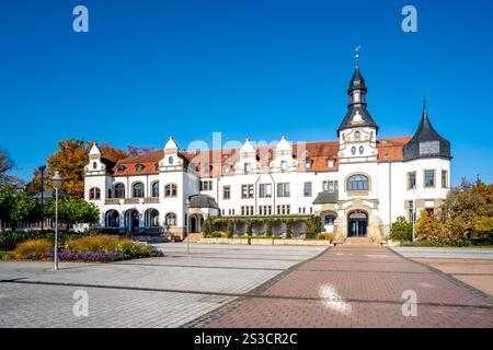 Città vecchia di Bad Schmiedeberg, Germania Foto Stock