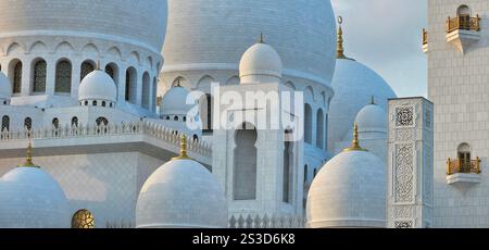 Foto ravvicinata della grande Moschea dello sceicco Sayed ad Abu Dhabi Foto Stock