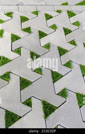 Pietre di pavimentazione Eco con erba tra le pietre di pavimentazione. Erba verde Foto Stock