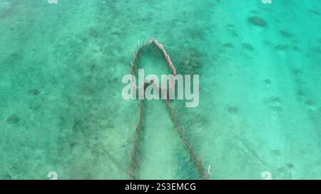 Vista aerea della tradizionale trappola per pesci parzialmente sommersa nelle acque turchesi di Tikehau, una barriera corallina nell'oceano pacifico dell'arcipelago delle tuamotu. Pesca in vecchio stile. Zoom indietro del panorama del drone aereo Foto Stock