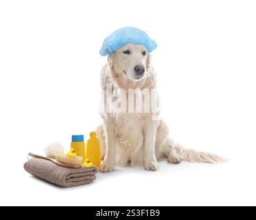 Cane carino con cuffia da doccia e altri accessori da bagno su sfondo bianco Foto Stock