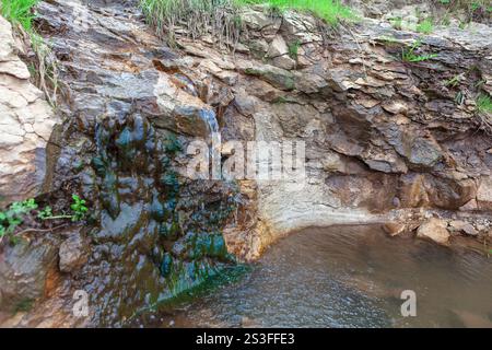 Piccola cascata che scorre su una scogliera rocciosa in una piscina d'acqua sottostante. Modelli naturali di erosione sulle rocce e presenza di alghe verdi o muschio, indi Foto Stock