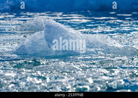 Primo piano di frammenti glaciali di ghiaccio galleggianti nell'acqua di mare molto vicino a un ghiacciaio che drena la calotta di ghiaccio della Groenlandia. Evighedsfjorden, Groenlandia Foto Stock