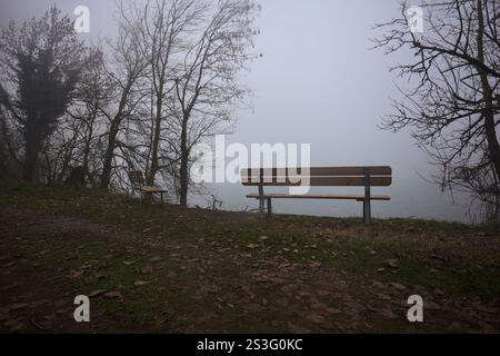 Panche vuote in riva al lago in un parco in una mattinata nebbiosa Foto Stock