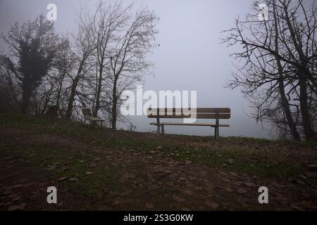 Panche vuote in riva al lago in un parco in una mattinata nebbiosa Foto Stock