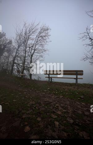 Panche vuote in riva al lago in un parco in una mattinata nebbiosa Foto Stock