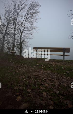 Panche vuote in riva al lago in un parco in una mattinata nebbiosa Foto Stock