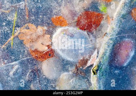Primo piano di ciottoli arrotondati e foglie cadute congelate sotto il ghiaccio sul bordo di una sponda del fiume durante una fredda scivolata d'inverno. Foto Stock