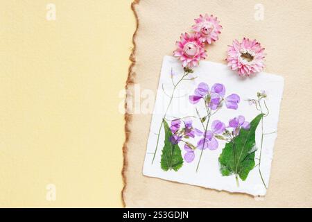 Fiori secchi pressati su sfondo di carta vintage, spazio per copie Foto Stock
