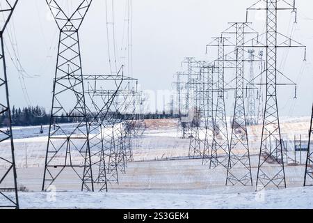 File di poli di alimentazione con linee elettriche che forniscono energia alla rete elettrica che si affaccia sui campi di prateria invernale nella contea di Rocky View, Alberta, Canada. Foto Stock