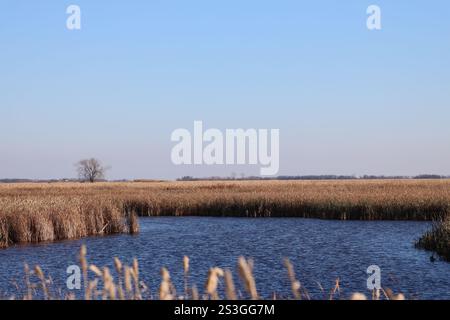 l'acqua aperta blu profonda nella palude della prateria riflette il cielo blu profondo sopra Foto Stock