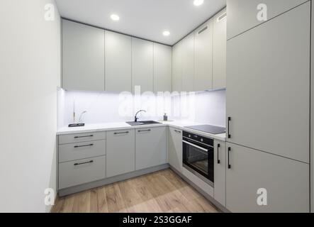 Interno della cucina classica Bright Home. Forno, lavandino, frigo. Design degli interni minimalista. Luci a LED, pavimento in legno duro. Pareti bianche. Grandangolo Foto Stock