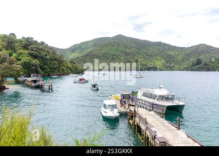Molo a Lochmara Lodge, Lochmara Bay, Queen Charlotte Sound, Marlborough Sounds, Marlborough Region, isola del Sud, nuova Zelanda Foto Stock