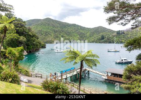 Molo e acquario a Lochmara Lodge, Lochmara Bay, Queen Charlotte Sound, Marlborough Sounds, Marlborough Region, isola del Sud, nuova Zelanda Foto Stock