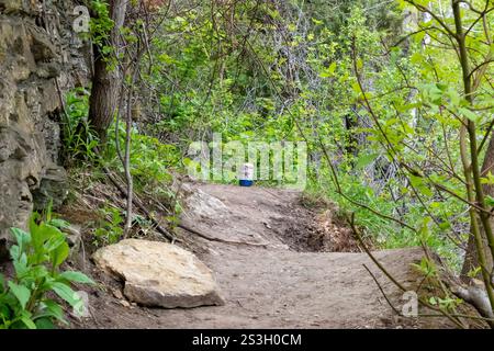 Bibite abbandonate su un sentiero nella foresta circondato da una vegetazione lussureggiante. Il contrasto tra l'oggetto creato dall'uomo e l'ambiente naturale mette in risalto il Foto Stock