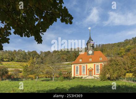 La chiesa dei vigneti in autunno nel vigneto, Pillnitz, Dresda, Sassonia, Germania, Europa Foto Stock