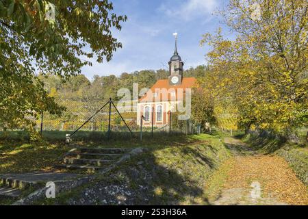 La chiesa dei vigneti in autunno nel vigneto, Pillnitz, Dresda, Sassonia, Germania, Europa Foto Stock