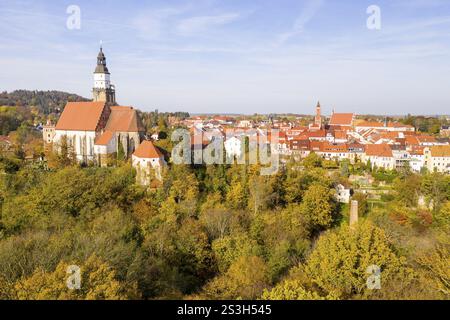 Vista aerea della città con la chiesa di Santa Maria, il municipio e la chiesa del monastero di Sant'Annen, Kamenz, Sassonia, Germania, Europa Foto Stock