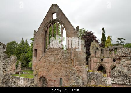 Rovine dell'abbazia di Dryburgh - versione HDR, Scozia, Regno Unito, Europa Foto Stock