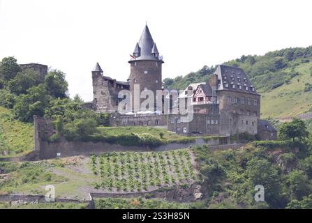 Castello medievale di Stahleck nella valle del Reno, circondato da vigneti, Bacharach, Germania Bacharach, Germania Europa Foto Stock