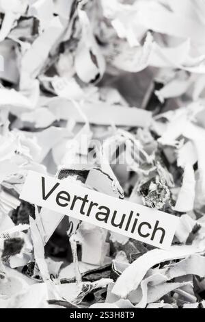La carta si spezza con la parola chiave Confidential, foto simbolica per la distruzione dei dati e la riservatezza Austria Foto Stock