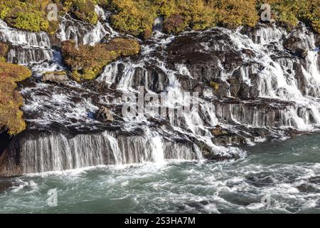 Cascata Hraunfossar che scorre dalle rocce laviche nel fiume, Islanda, Europa Foto Stock