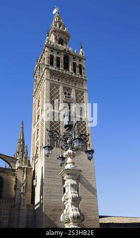 Giralda Campanile della cattedrale, Siviglia, Andalusia, Spagna Siviglia, Spagna, Europa Foto Stock