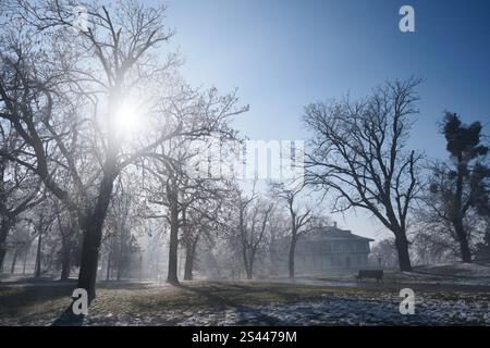 Mattina in un parco invernale Foto Stock