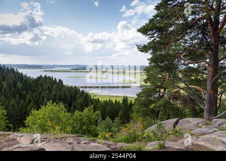 Paesaggio montano estivo con alberi di pino che crescono sulle rocce. Foto naturale careliana scattata in cima al Monte Paasonvuori, Sortavala, Russia Foto Stock