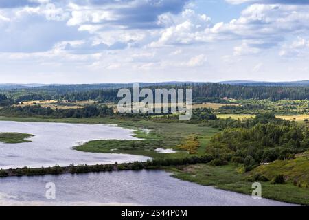 Paesaggio montano estivo con diga ferroviaria che attraversa il lago. Foto naturale careliana scattata in cima al Monte Paasonvuori, Sortavala, Russia Foto Stock