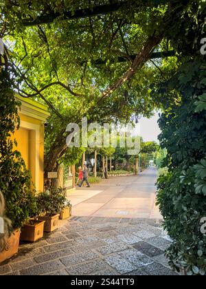 Intorno all'affollato Palazzo Jannuzzi, Sorrento, Campania, Italia: Phillip Roberts Foto Stock