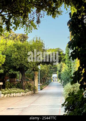 Intorno all'affollato Palazzo Jannuzzi, Sorrento, Campania, Italia: Phillip Roberts Foto Stock
