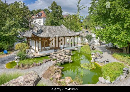 Chinesischer Garten, Qingyin Garten der schönen Melodie, Birkenwaldstraße, Stoccarda, Baden-Württemberg, Deutschland *** Chinese Garden, Qingyin Garden of Beautiful Melody, Birkenwaldstraße, Stoccarda, Baden Württemberg, Germania Foto Stock