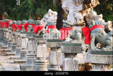 Fila di sculture del Leone Guardiano Cinese in varie posture in un Tempio Buddista Cinese Foto Stock