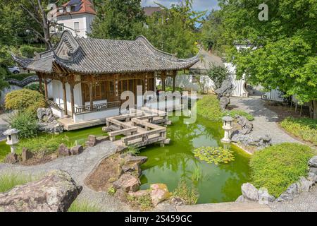 Chinesischer Garten, Qingyin Garten der schönen Melodie, Birkenwaldstraße, Stoccarda, Baden-Württemberg, Deutschland *** Chinese Garden, Qingyin Garden of Beautiful Melody, Birkenwaldstraße, Stoccarda, Baden Württemberg, Germania Foto Stock